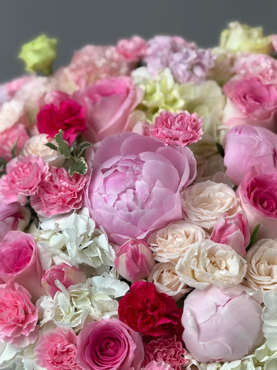 Pink Peonies, Roses and Hydrangeas Flower Arrangement in Luxury Velvet Box