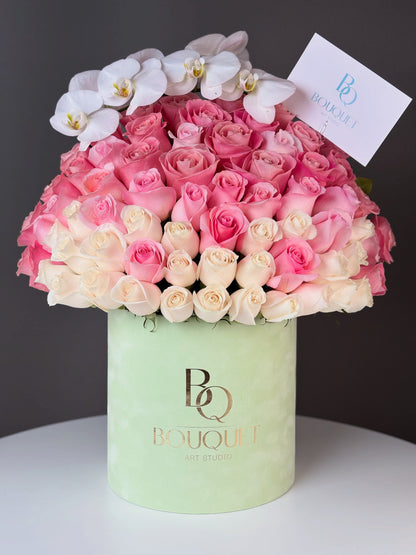 Ombre Blush with White Orchid