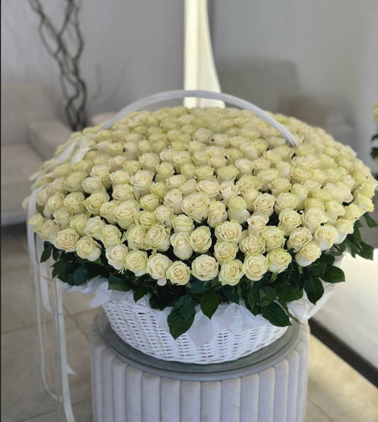 Large luxury basket of white roses – 200 roses arrangement