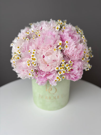 LUXURY PINK PEONIES & CHAMOMILE FLOWERS IN HAT BOX | BQ BOUQUET