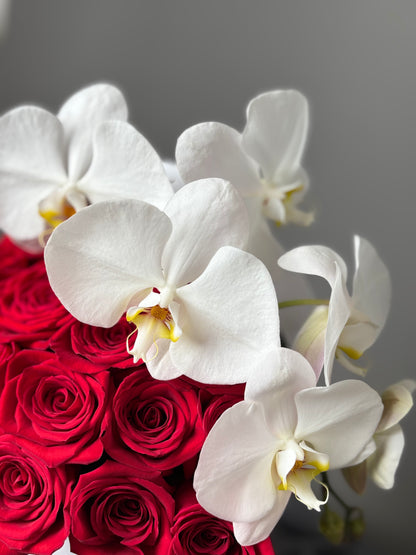 SCARLET SYMPHONY &  WHITE ORCHID  | BQ BOUQUET | ELEGANT FLOWER ARRANGEMENT