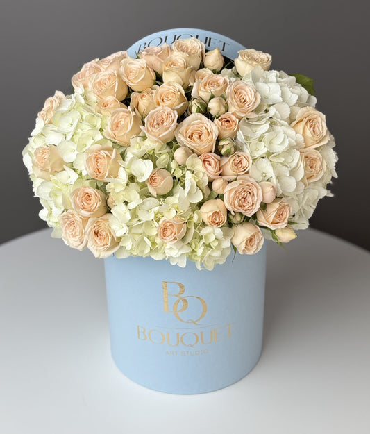 Velvet Creme & Sky Blue