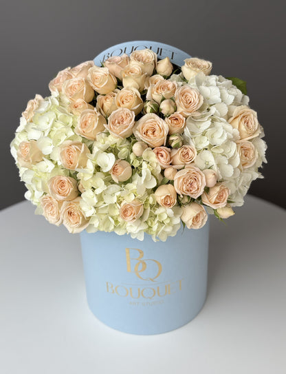 Velvet Creme & Sky Blue