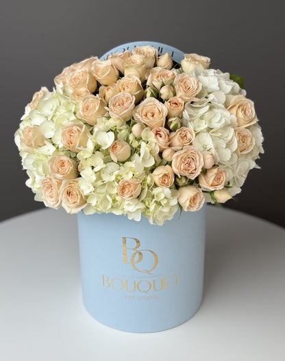 Velvet Creme & Sky Blue