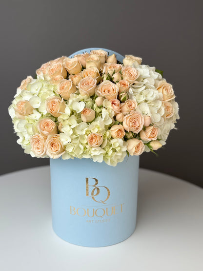 Velvet Creme & Sky Blue