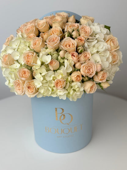 Velvet Creme & Sky Blue