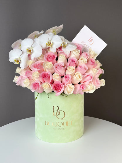 White Orchid Elegance