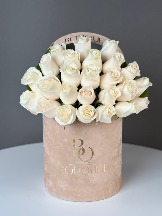 Premium Nude Elegance