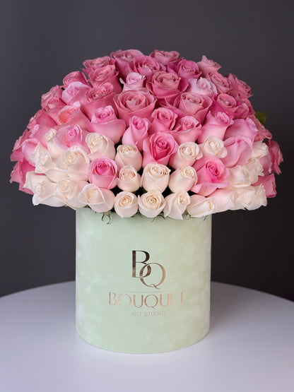 Signature  Rose Pink Ombre