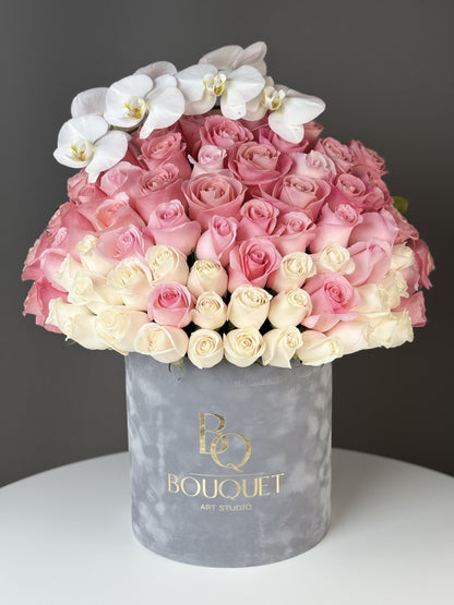 Ombre Roses with Orchid